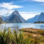Milford Sound / Piopiotahi