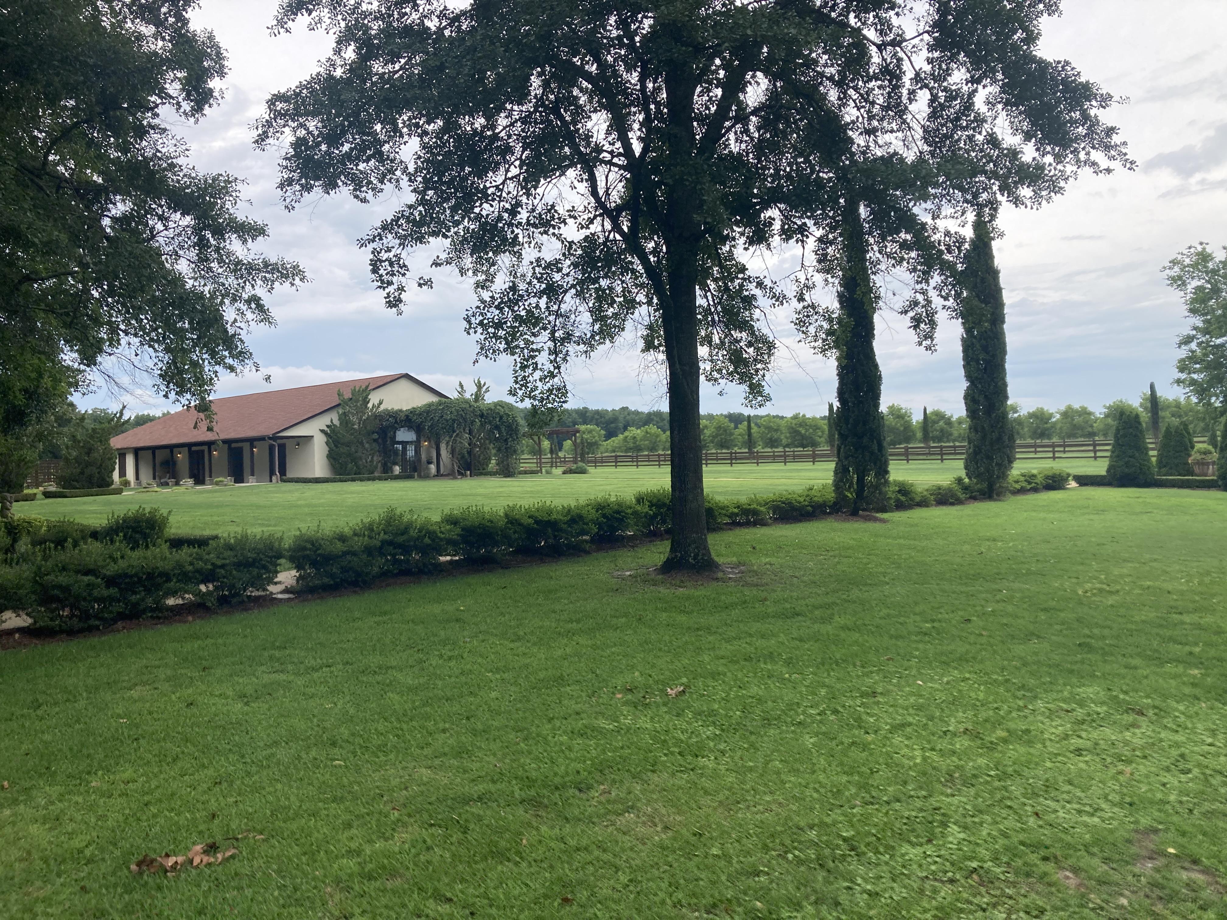 The Wedding Website of Sarah Crawford and Thien Nguyen