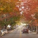 Canton Street