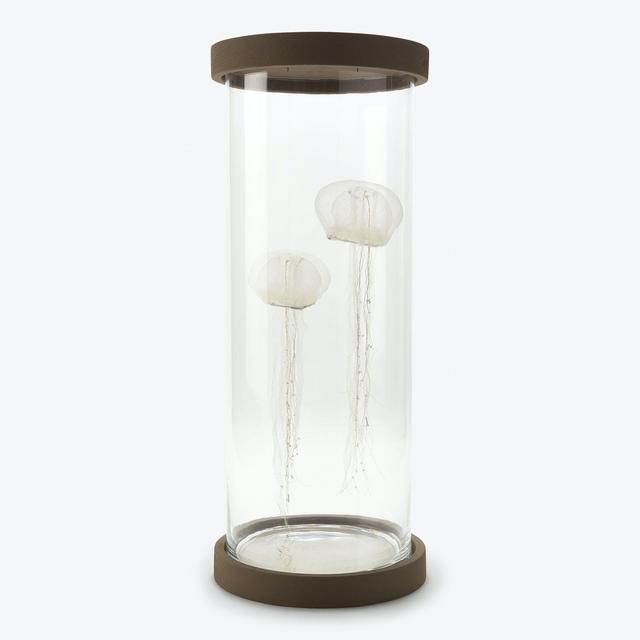 Jellyfish Lamp