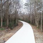 Cricket Frog Trail