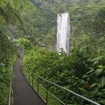 Akaka Falls State Park