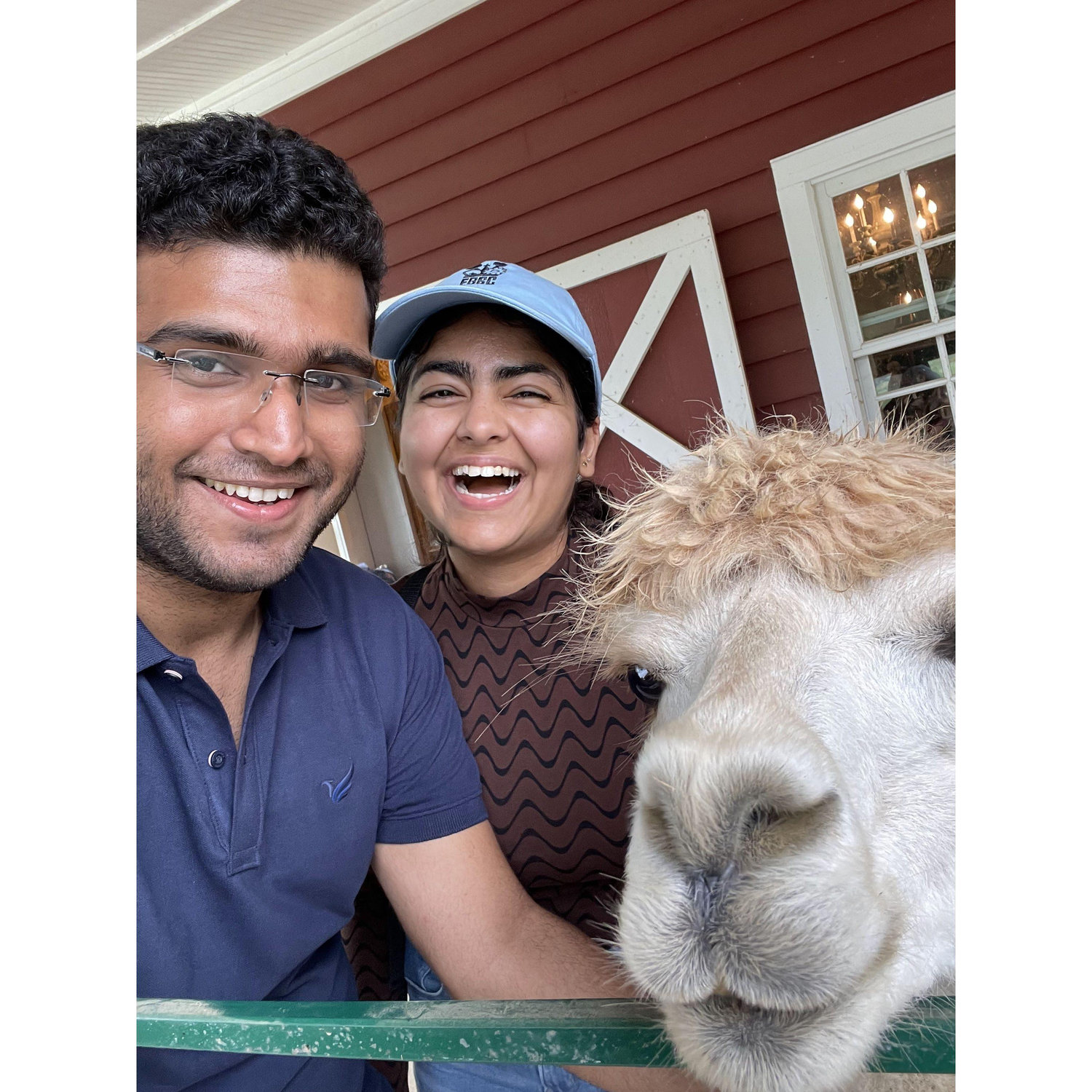 Trying to look cool, but the alpaca stole the show. 🦙😎
