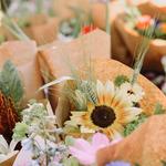 Hamilton Montana Farmer's Market