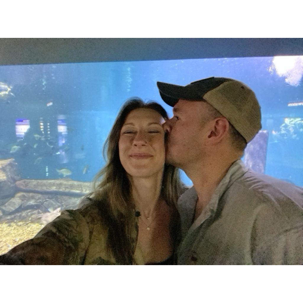Chattanooga Aquarium