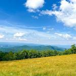 Kid Friendly Hikes in Asheville