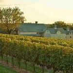 Boordy Vineyards