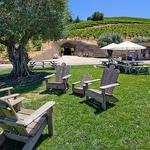 Bella Vineyards & Wine Caves