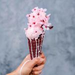 Wanderlust Creamery