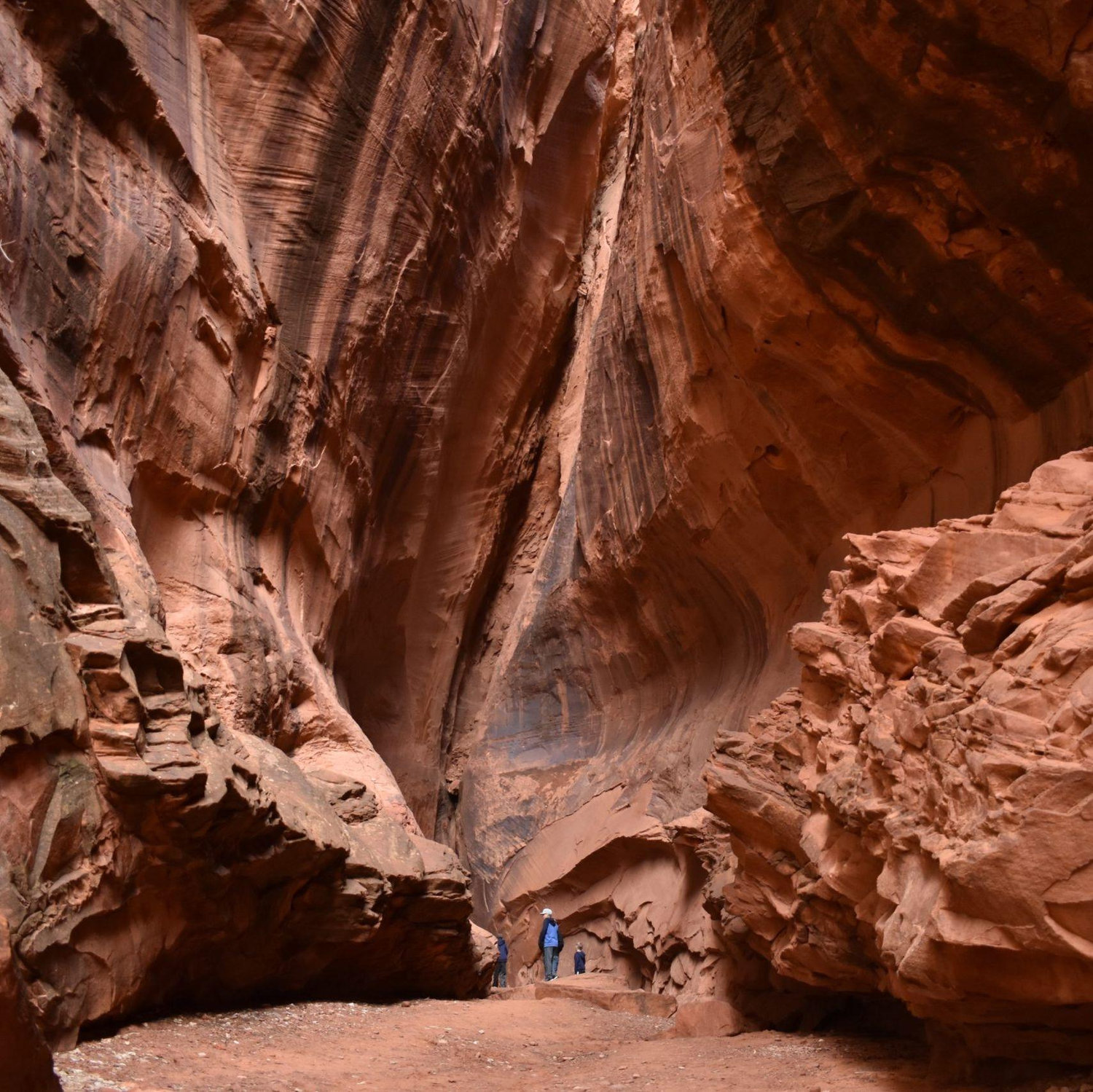 Singing Canyon (short drive from Boulder Mountain Lodge)
