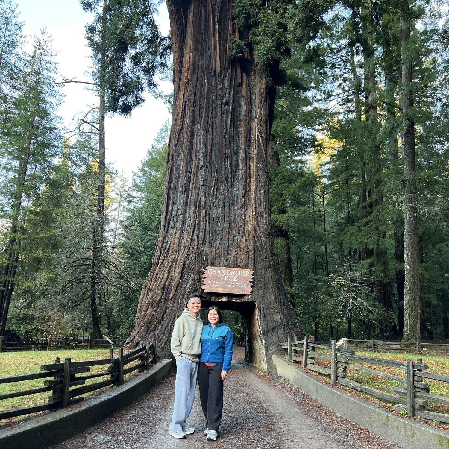 Mendocino, CA 2025