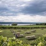 Wineries