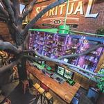 Raleigh Beer Garden