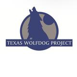 Texas Wolfdog Project & Shelter