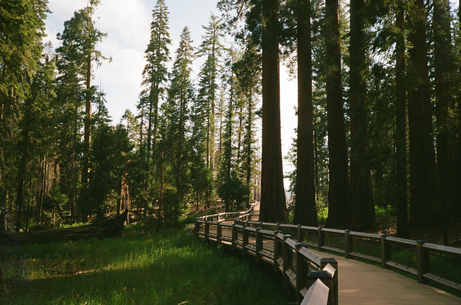 The Wedding Website of Rachel Carlson and Jonathan Hake