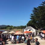 Tomales Bay