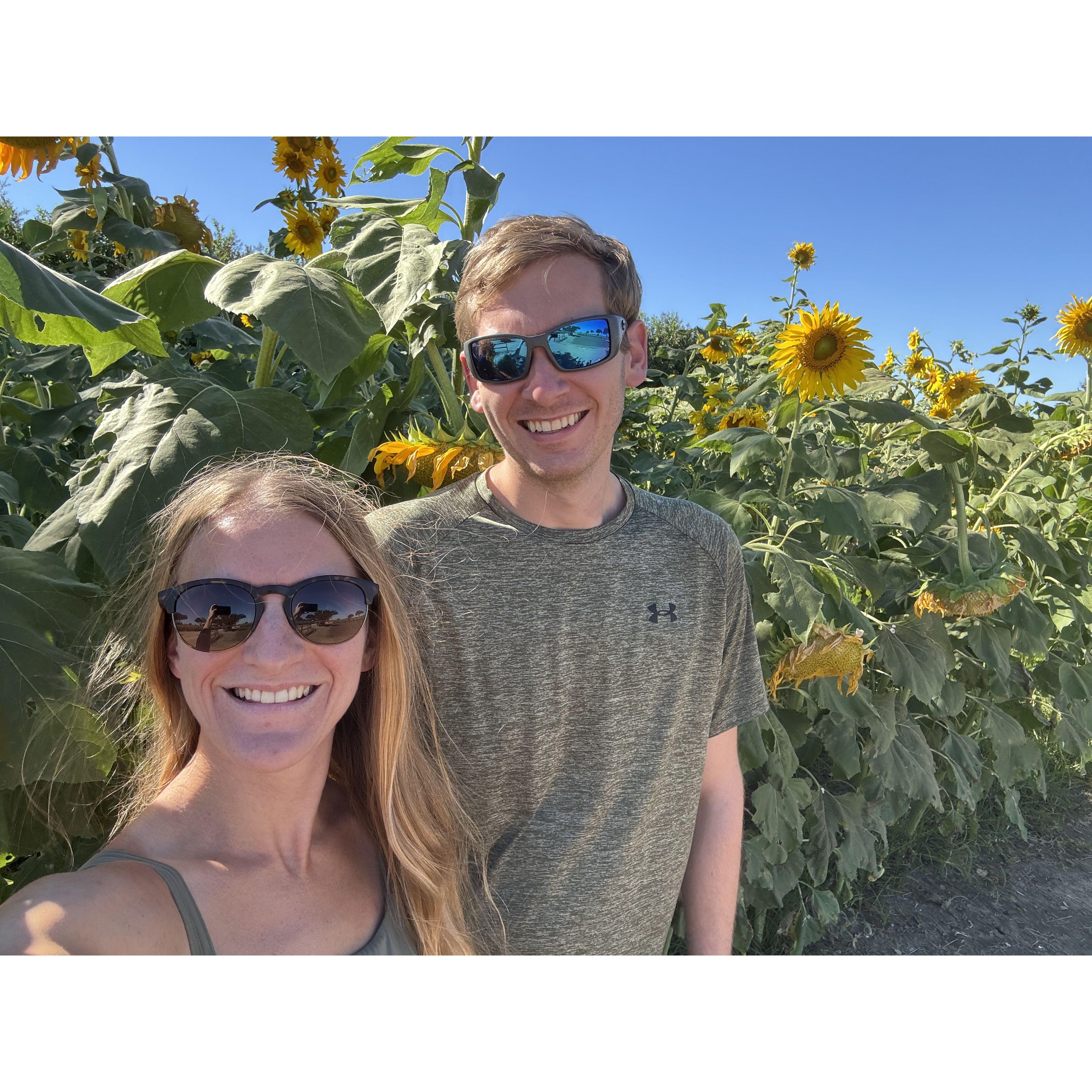 Wildflower Farms, TX