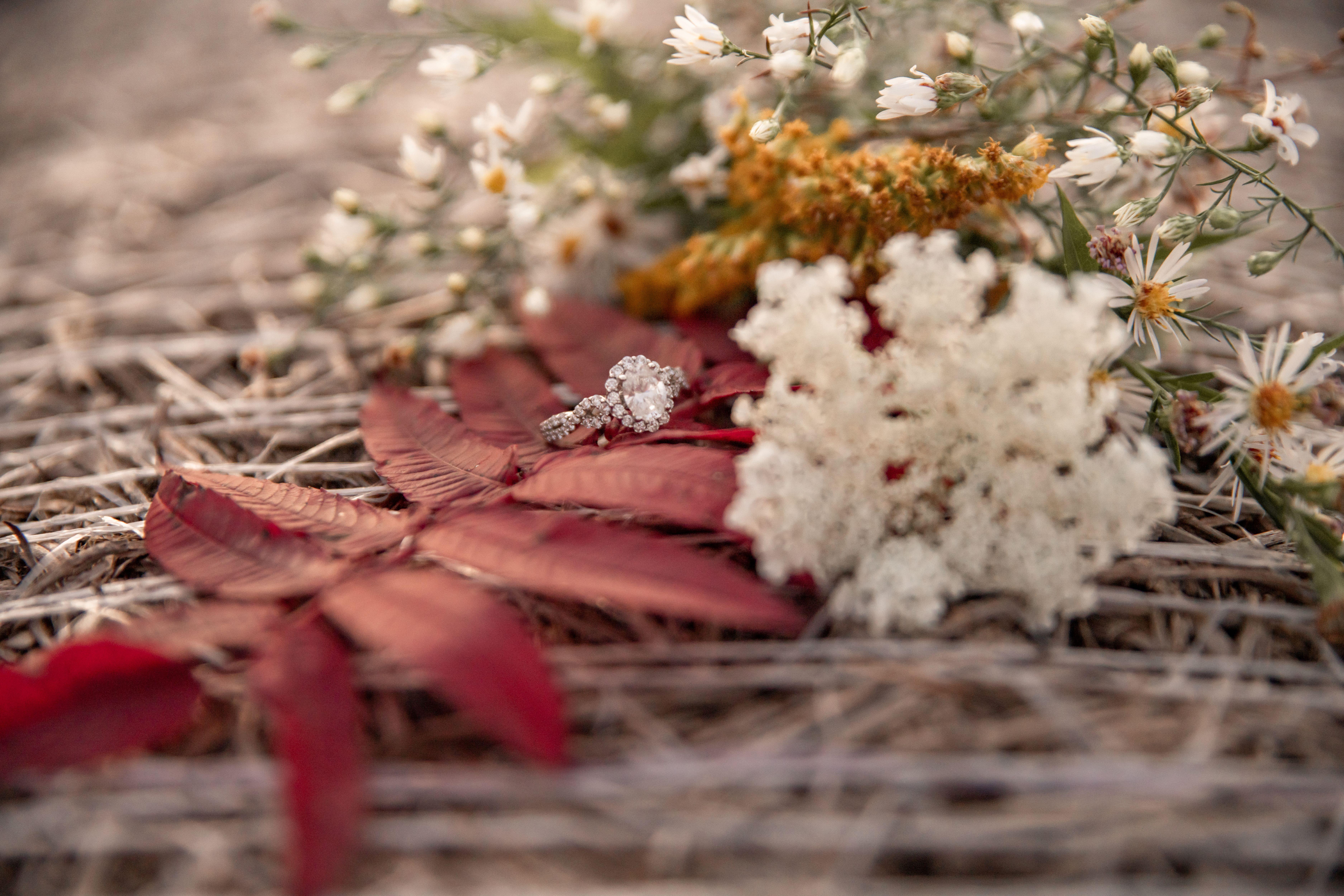 The Wedding Website of Amber Hughes and Larry Otis