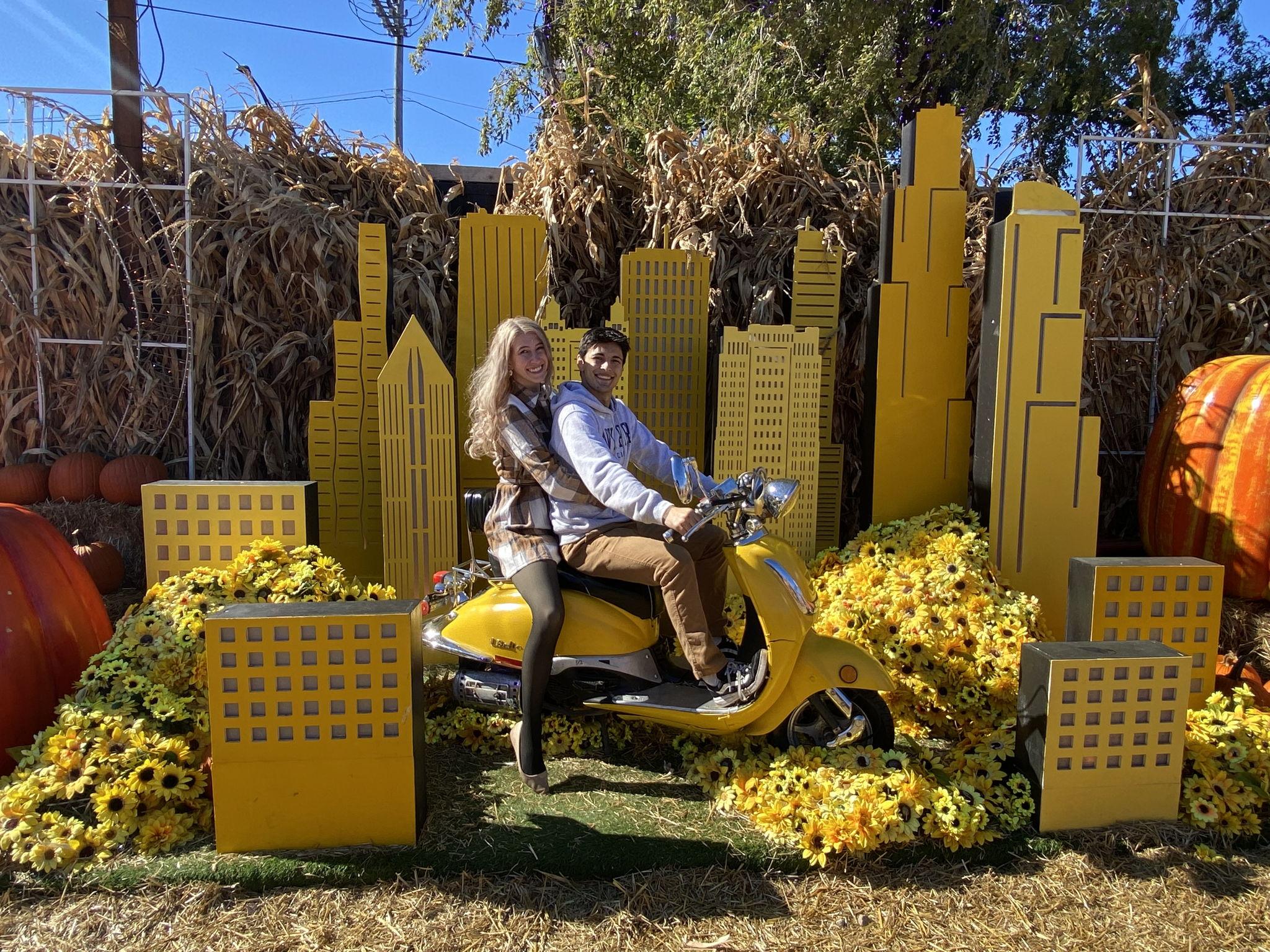 The Wedding Website of Dana Levitan and David Parks