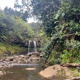 Hike Maui
