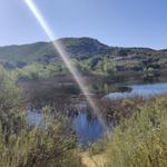 Daley Ranch
