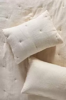 Elysian Cross-Dyed Gauze Shams, Set of 2