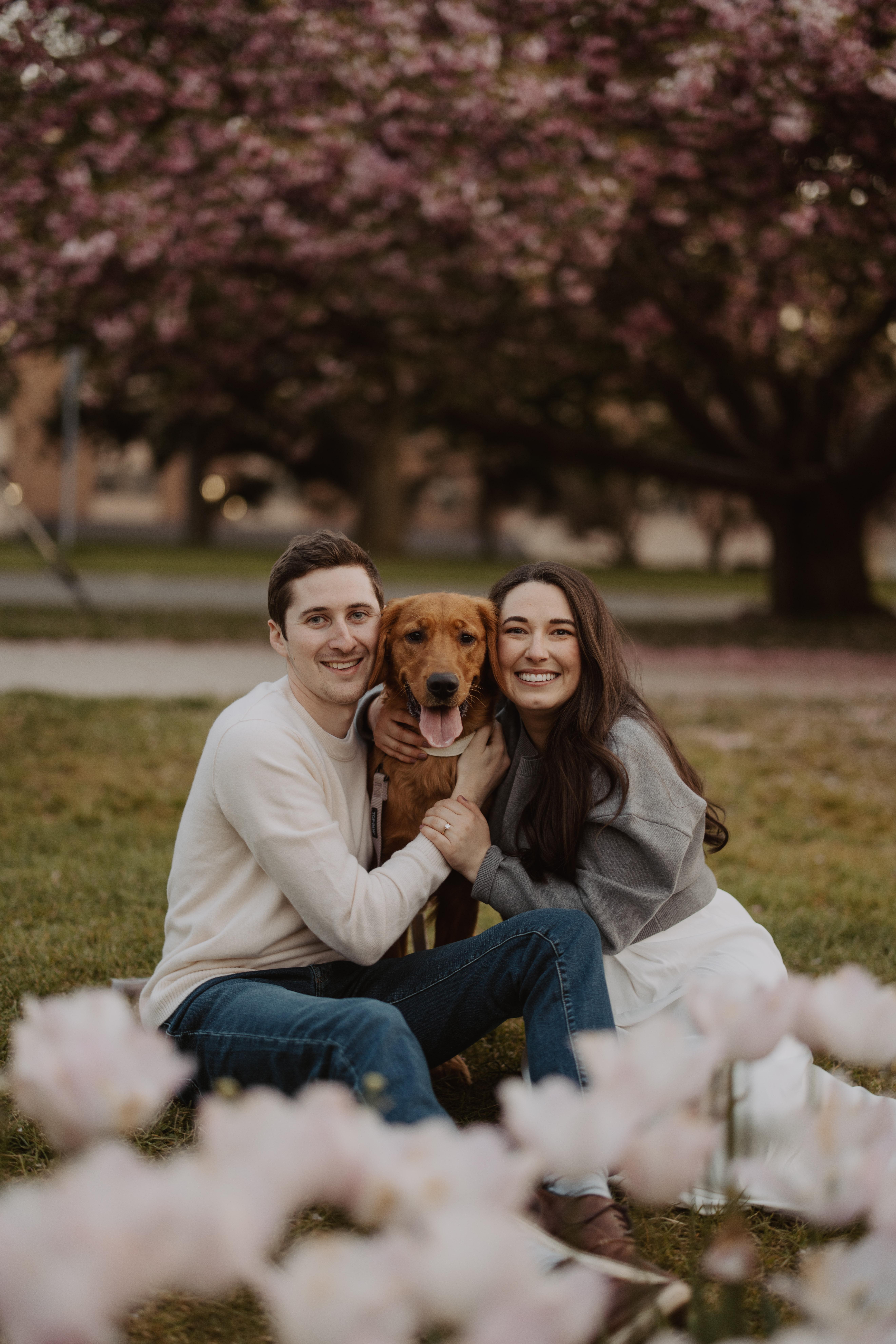 a0e58178-749b-48e3-a5a0-c4b5915595cb