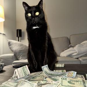 Honeymoon Fund