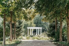 The Wedding Website of Yael Kaplan and Ariel Vadee