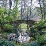 Garvan Woodland Gardens