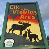 Gaylord's City Elk Park