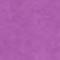Purple Orchid