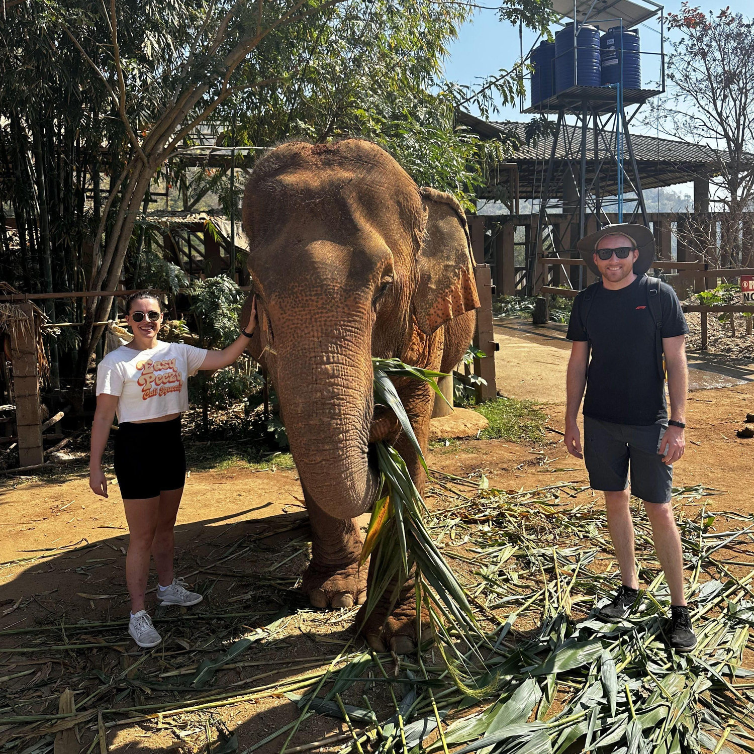February 2023: Hanging out with the Elephants in Thailand!