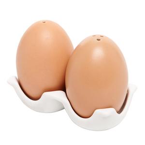 Brown Egg Design Salt and Pepper Shaker Set w/ Egg Carton Style Holder