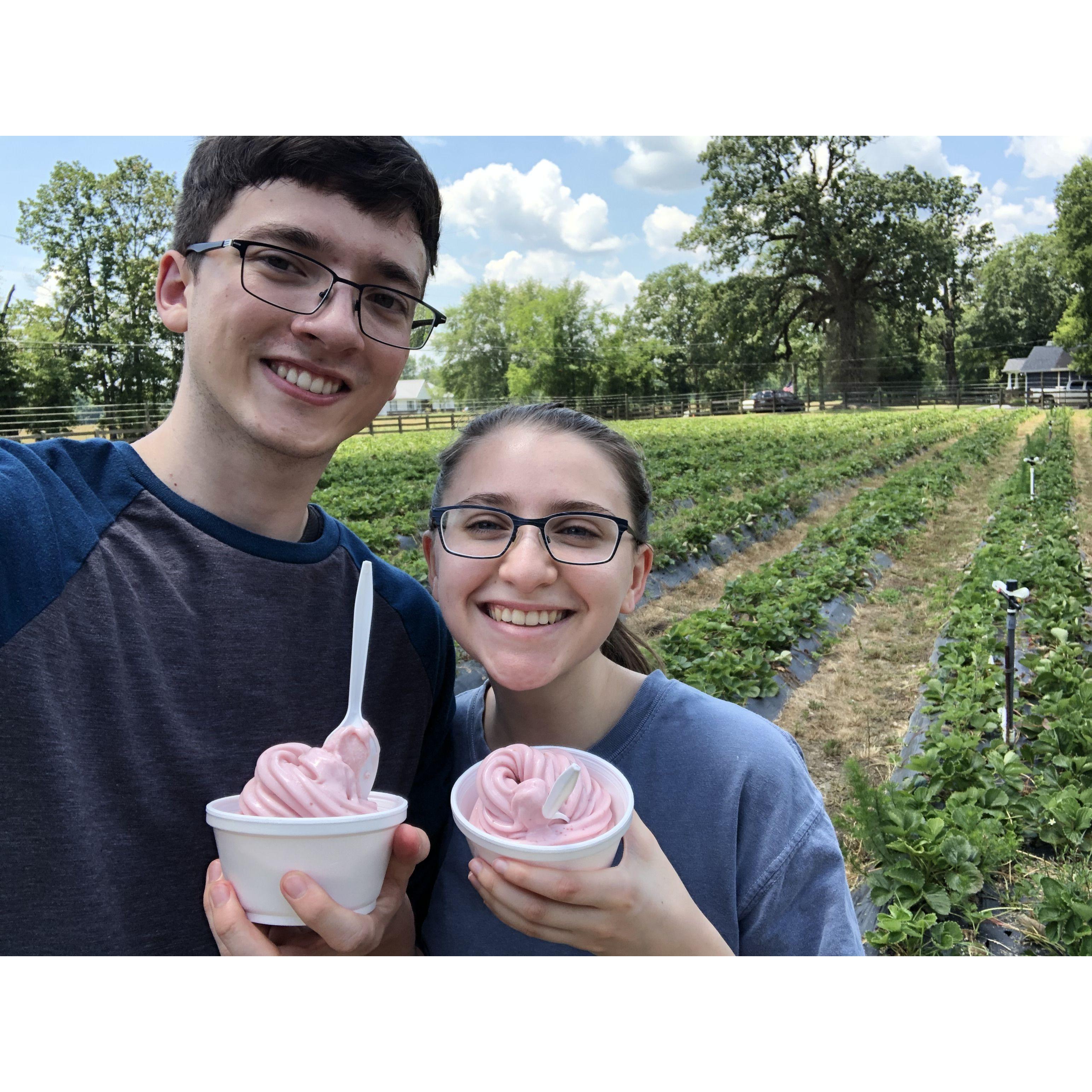 Strawberry picking is one of our yearly traditions.