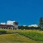 Mari Vineyards