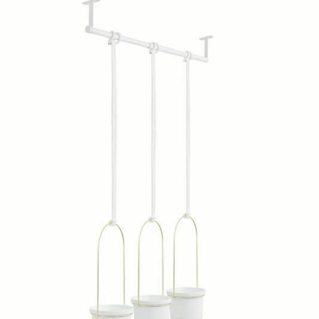 Triflora Hanging Planter White with Brass Frame