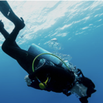 Snorkeling + Diving