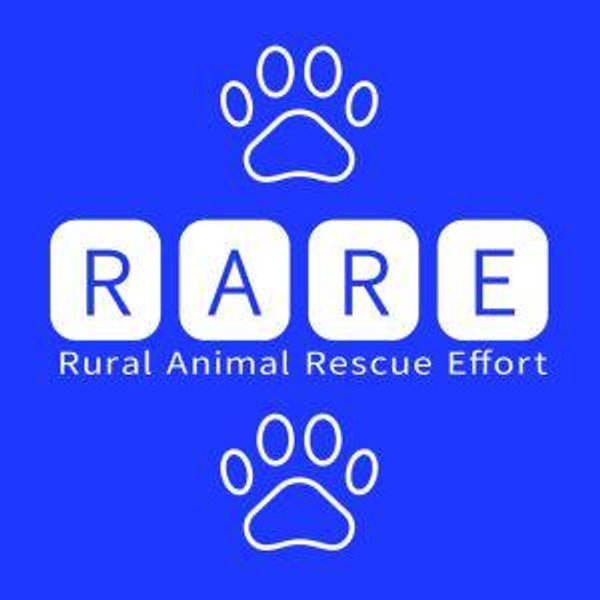 Donation to R.A.R.E Rescue