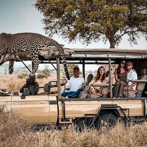 Safari Excursion