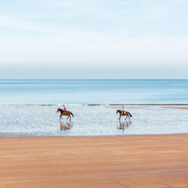 Horseback Riding in Manuel Antonio