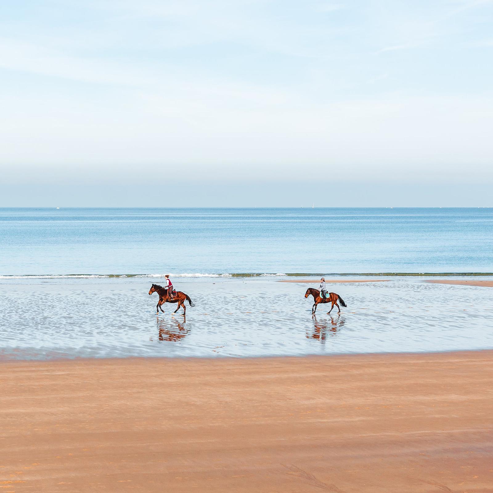 Horseback Riding On Our Honeymoon