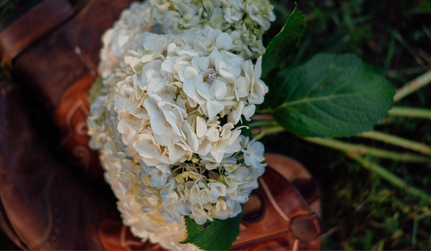 Footer image