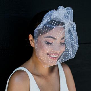 Penny Birdcage Veil