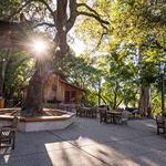 Benziger Family Winery