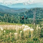 Whitefish Mountain Resort