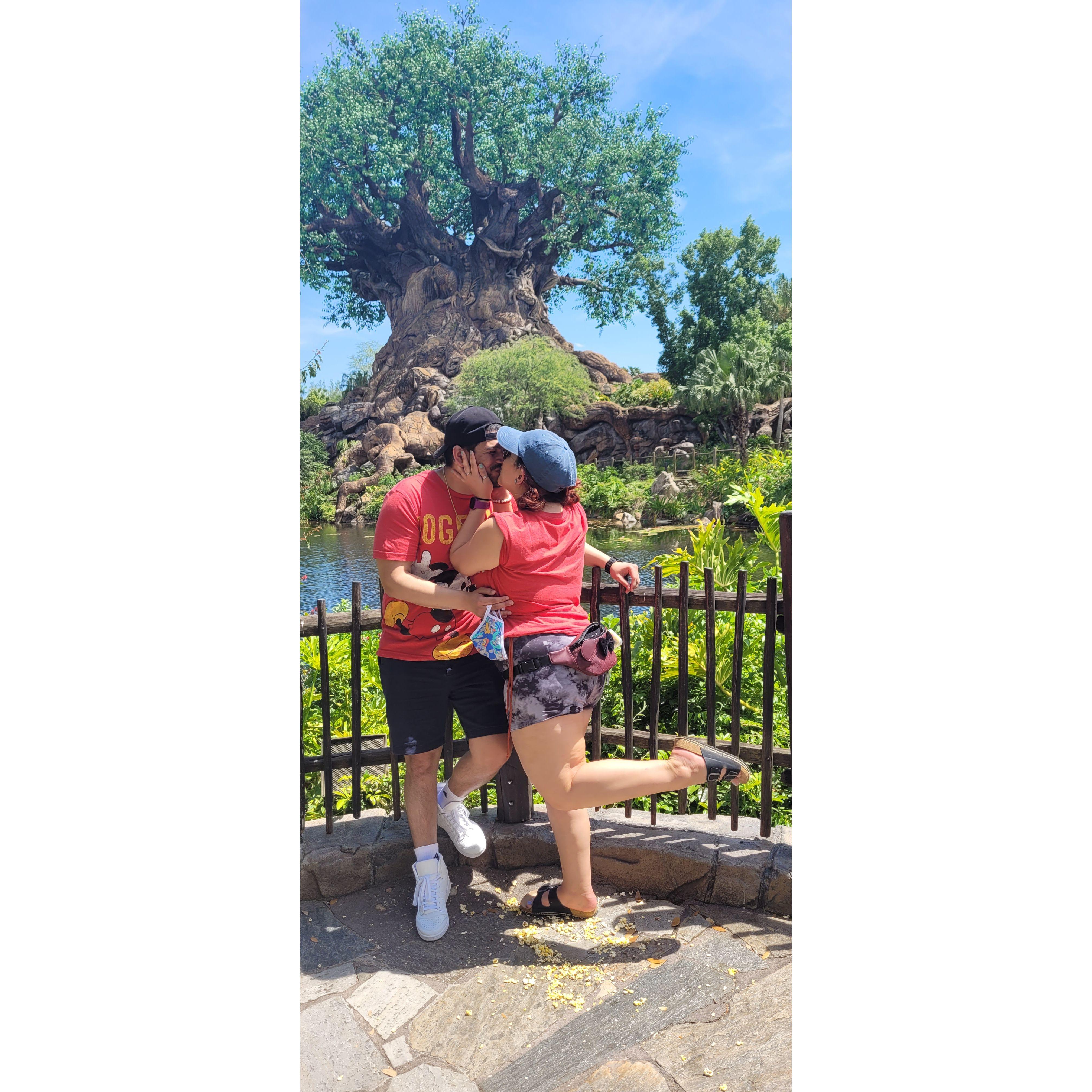 Who is the biggest Disney adult? Julio or Catalina?
