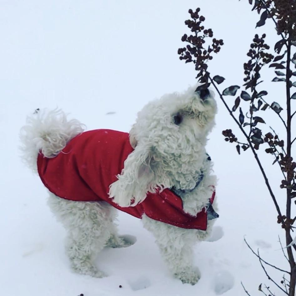 i mean, i'll beat him. this should be a winter card.
