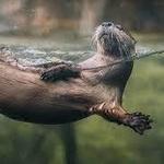 South Carolina Aquarium
