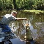 Jean Lafitte Swamp Tour